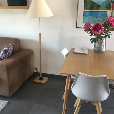 Penthouse City Centre/beach * 昂蒂布
